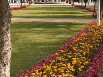 ct_marianske_lazne_16