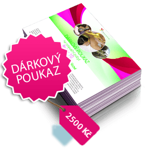 Dárkové poukazy